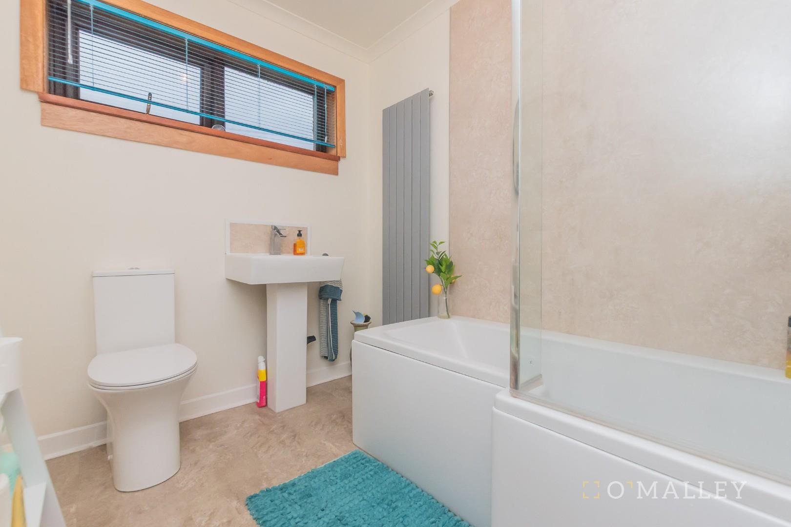 Bathroom (downstairs)